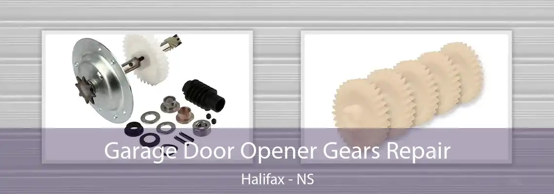 Garage Door Opener Gears Repair Halifax - NS